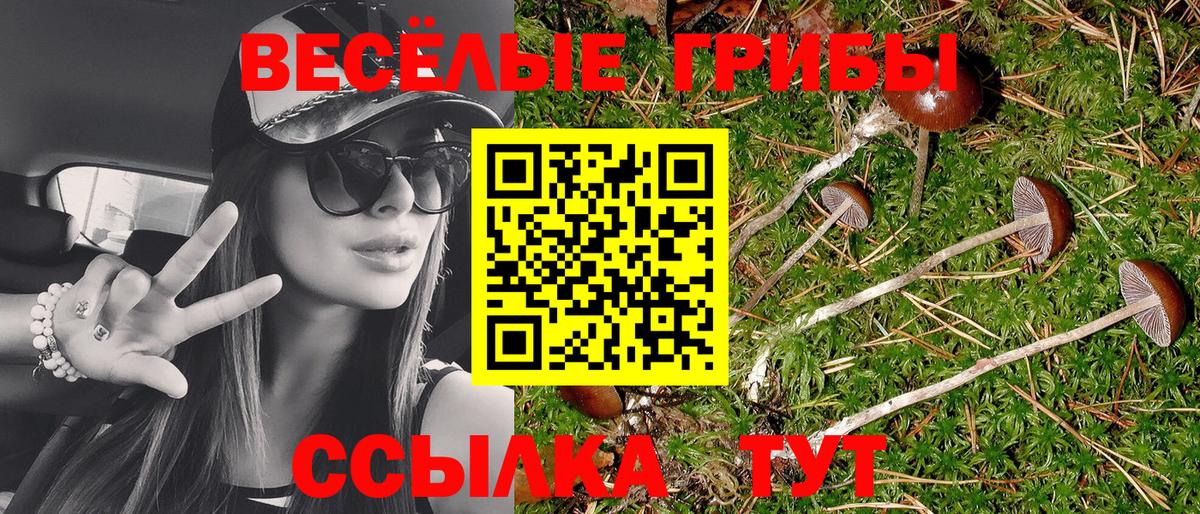 Пугачёв  Псилоцибиновые грибы прущие грибы  где купить наркоту  Вход с VPN  Псилоцибиновые грибы Magic Shrooms 