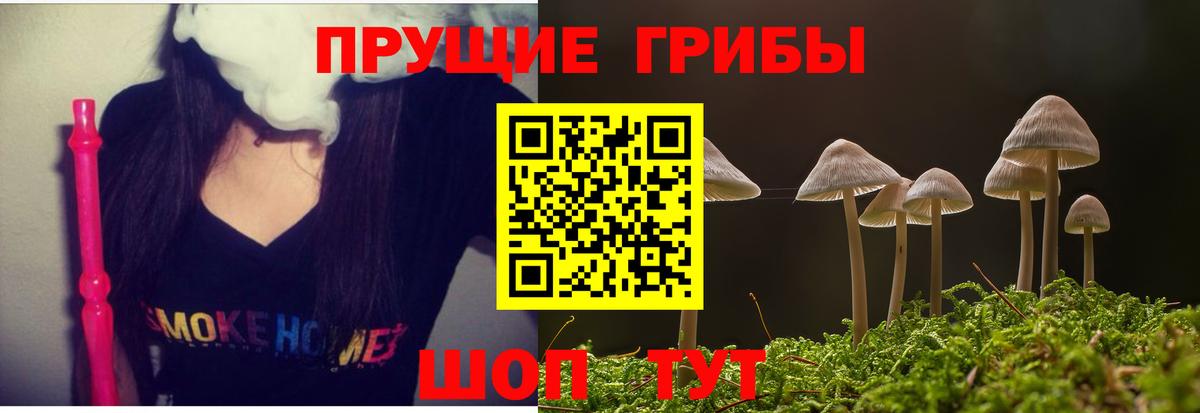Галлюциногенные грибы Psilocybine cubensis Пугачёв